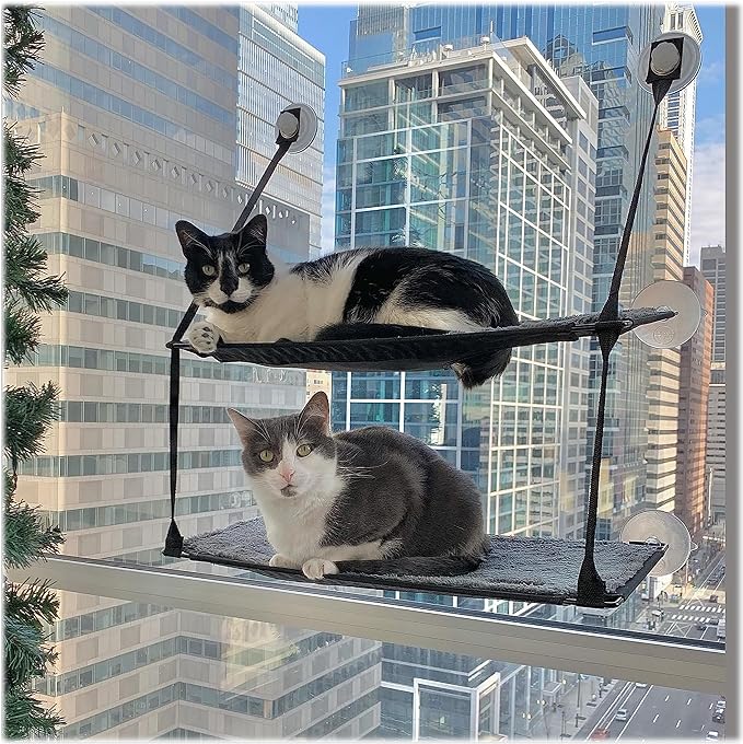 Double Decker Window Hammock For Cats Whisker Lounge