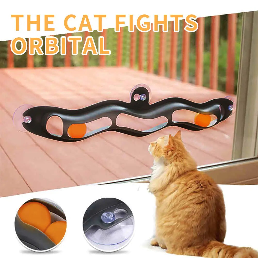 Track With Ball For Cats