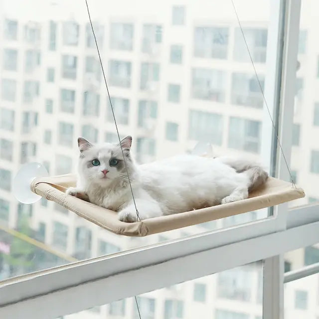 Window Perch For Cats