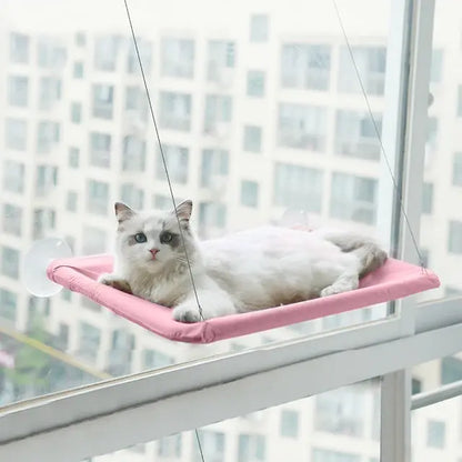 Window Perch For Cats