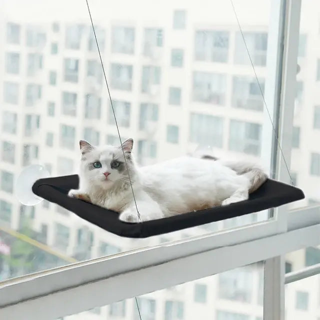 Window Perch For Cats