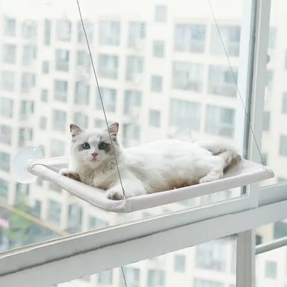 Window Perch For Cats