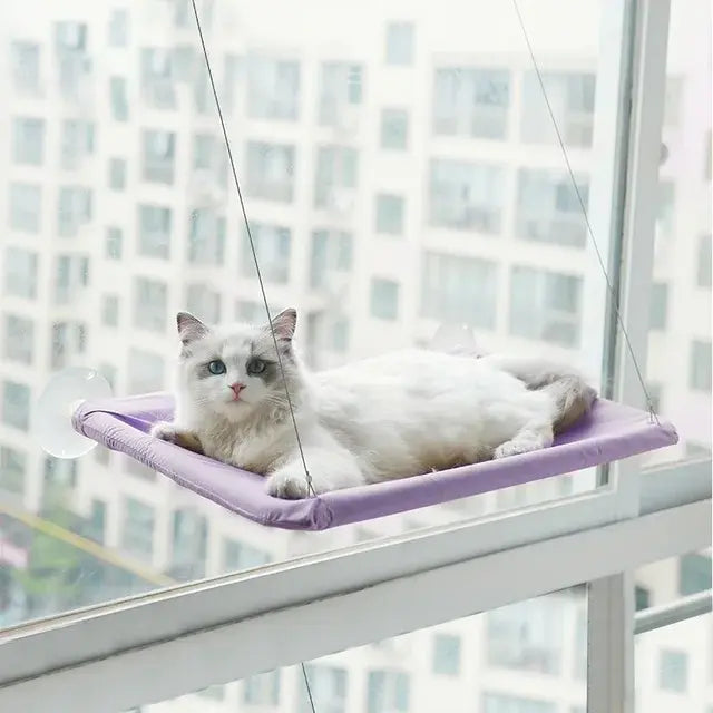 Window Perch For Cats