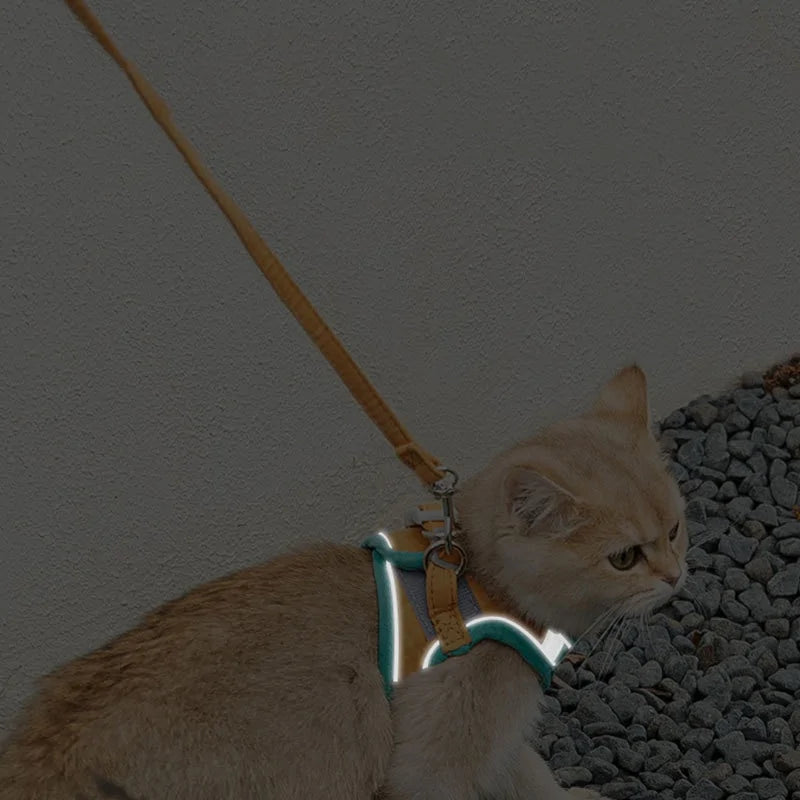 Cat Harness And Leash Set