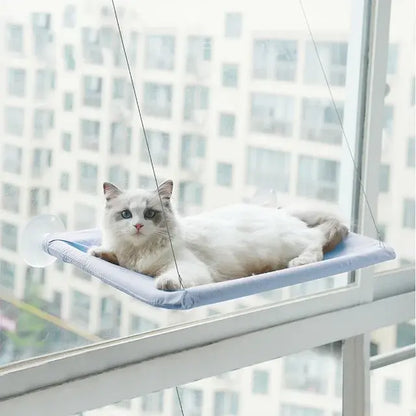 Window Perch For Cats